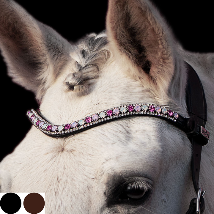 Ein Schimmel, geschmückt durch einen glanzvollen Stirnriemen mit Glassteinen der Marke Preciosa aus einer Kombination mit kräftigem Pink, sanftem Rosa und weißem Opal auf schwarzem Qualitätsleder, pflanzlich gegerbt, ohne Chemikalien. Quick-Chance-Verschluss zum einfachen Wechseln. Farbtafel in schwarz und braun.